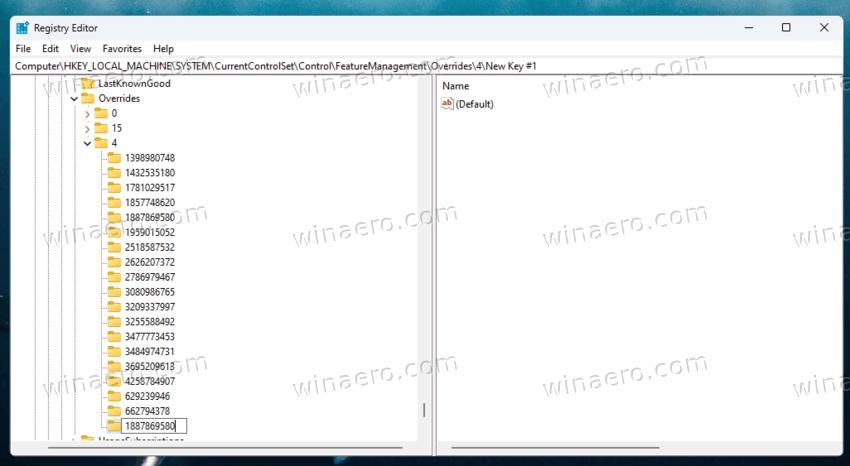 The 1887869580 subkey in the Registry